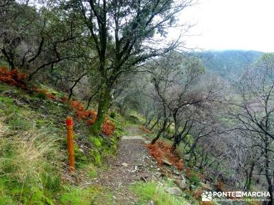 Sierra de Gata, Trevejo,Hoyos,Coria; bosque de irati la charca verde la bola del mundo los ancares